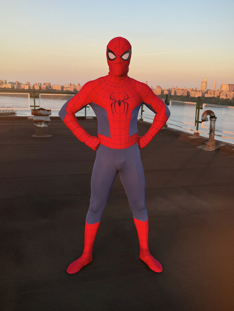 Spiderman Spidey Hero Superhero
